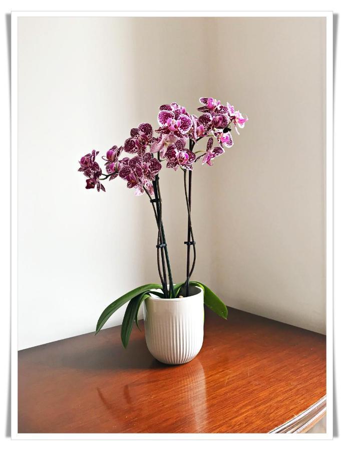 Spacious And Modern 2 Bedroom Flat Near The City Centre EDI Kültér fotó